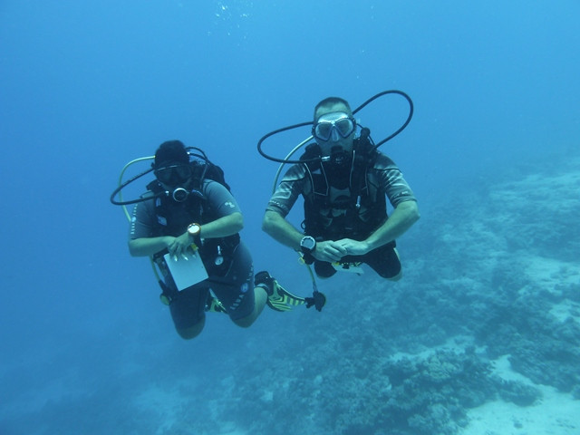 Beim Tieftauchen-Spezialkurs