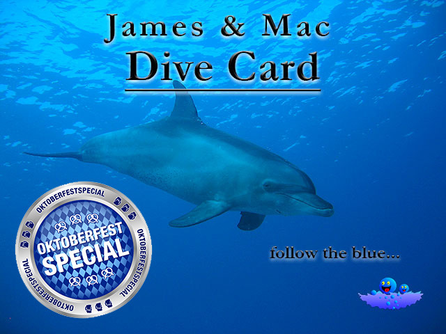 Tauchbasis Angebot