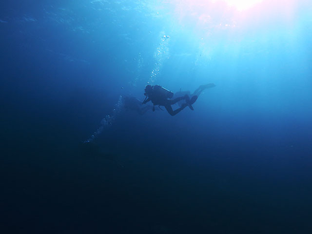 Taucher stimmungsvoll