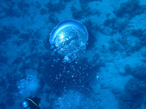 Luftblase mit Taucher