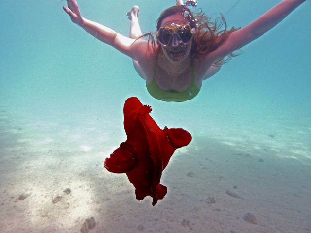 Unterwassermodel und Spanische Tänzerin