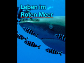 Rotes Meer Buch
