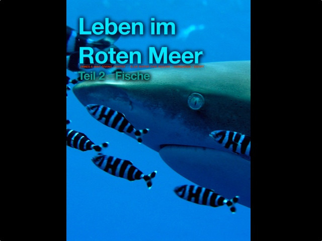 Rotes Meer Buch