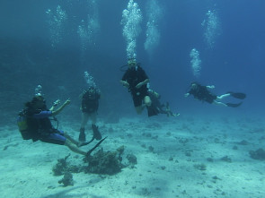 Tauchlehrer mit Schülern