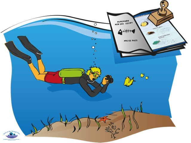 Unterwasserfotografie