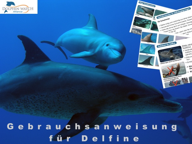 Dolphin-Watch