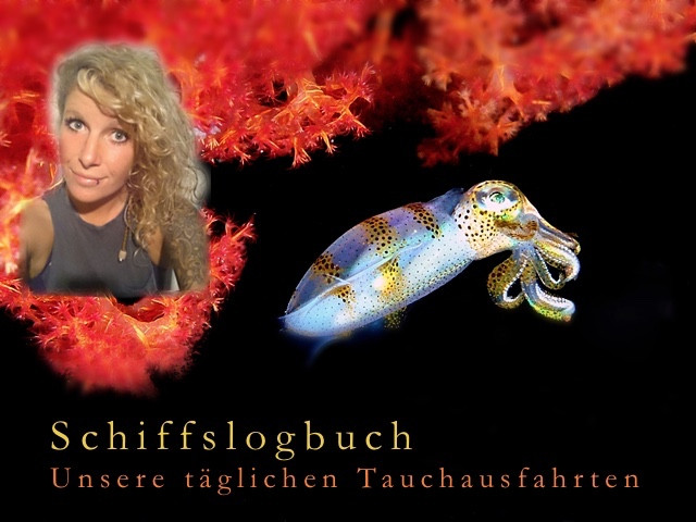 Schiffslogbuch