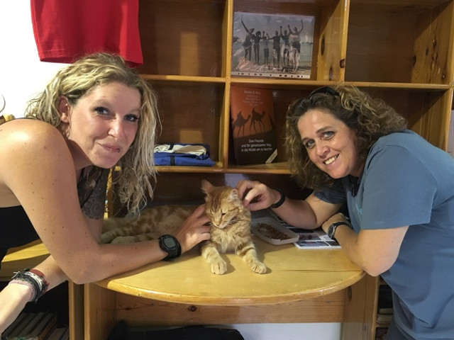 Tauchbasiskatze-geniesst