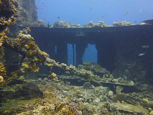 Chrisoula