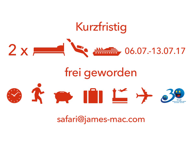 Tauchkreuzfahrt