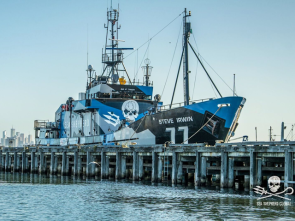 Sea Shepherd 