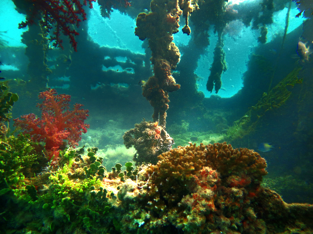 Wracktauchen-in-Hurghada