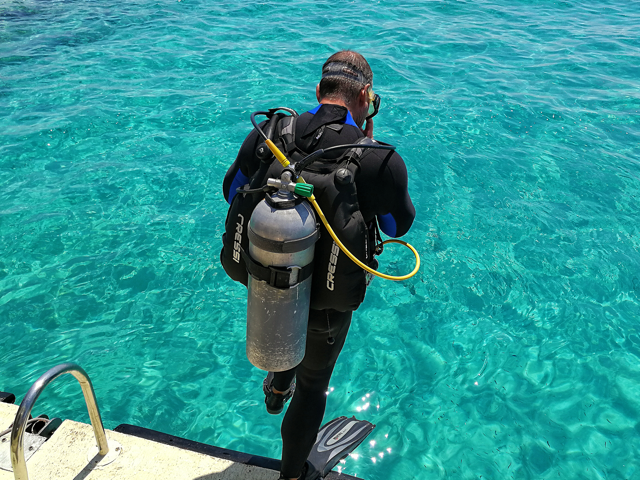 Sprung-ins-Rotes-Meer