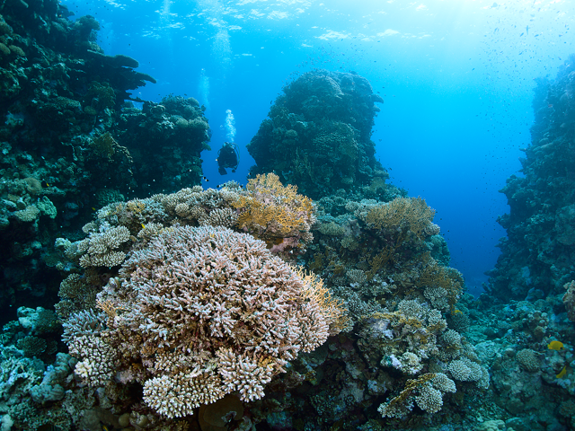 Tauchen-durch-Hoehlen