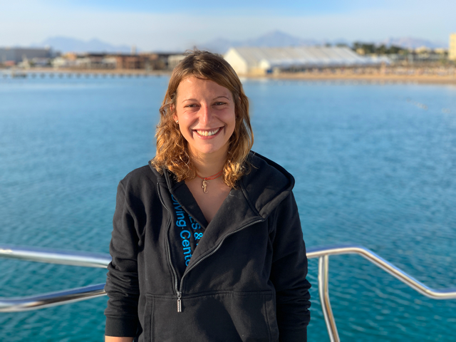 Schnorcheln-mit-Delfinen