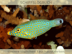 Palettenstachler