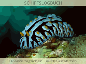 Schnecke