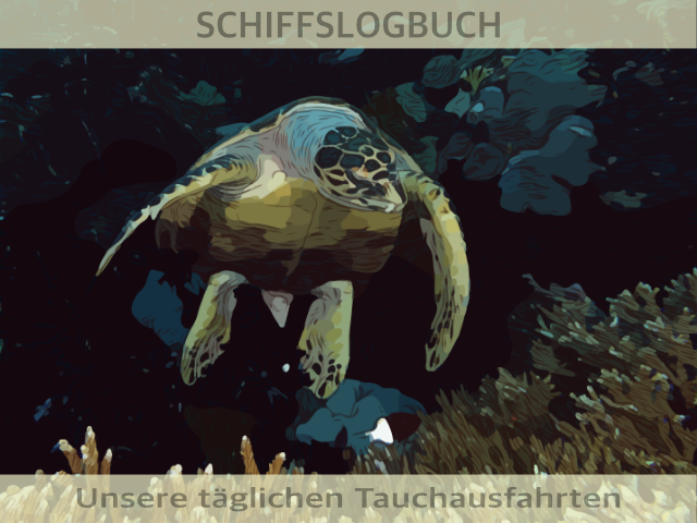 Schildkroete