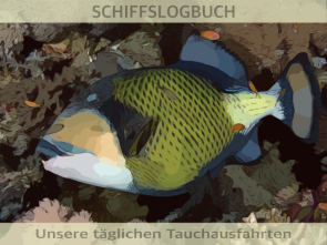 Drueckerfisch