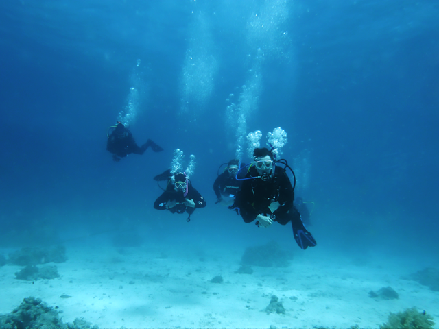 Divemaster-Ausbildung