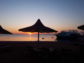 Sondertour-Abu-Nuhas